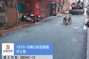 深圳龙岗区坂田马蹄山村道路提升工程
